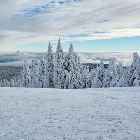 Chata Jeleni Drevenice S Vlastni Virivkou Horni Halze Esterno foto