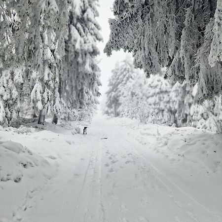 Chata Jeleni Drevenice S Vlastni Virivkou Horni Halze Esterno foto