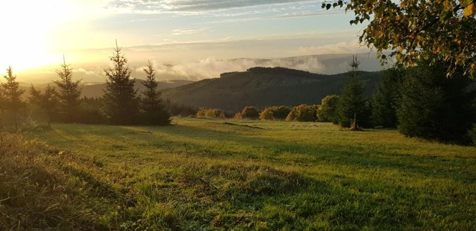 Chata Jeleni Drevenice S Vlastni Virivkou Horni Halze Esterno foto