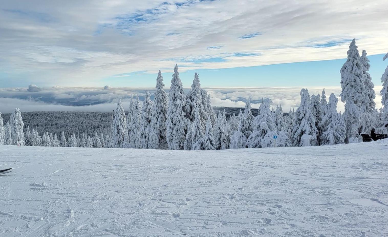 Chata Jeleni Drevenice S Vlastni Virivkou Horni Halze Esterno foto