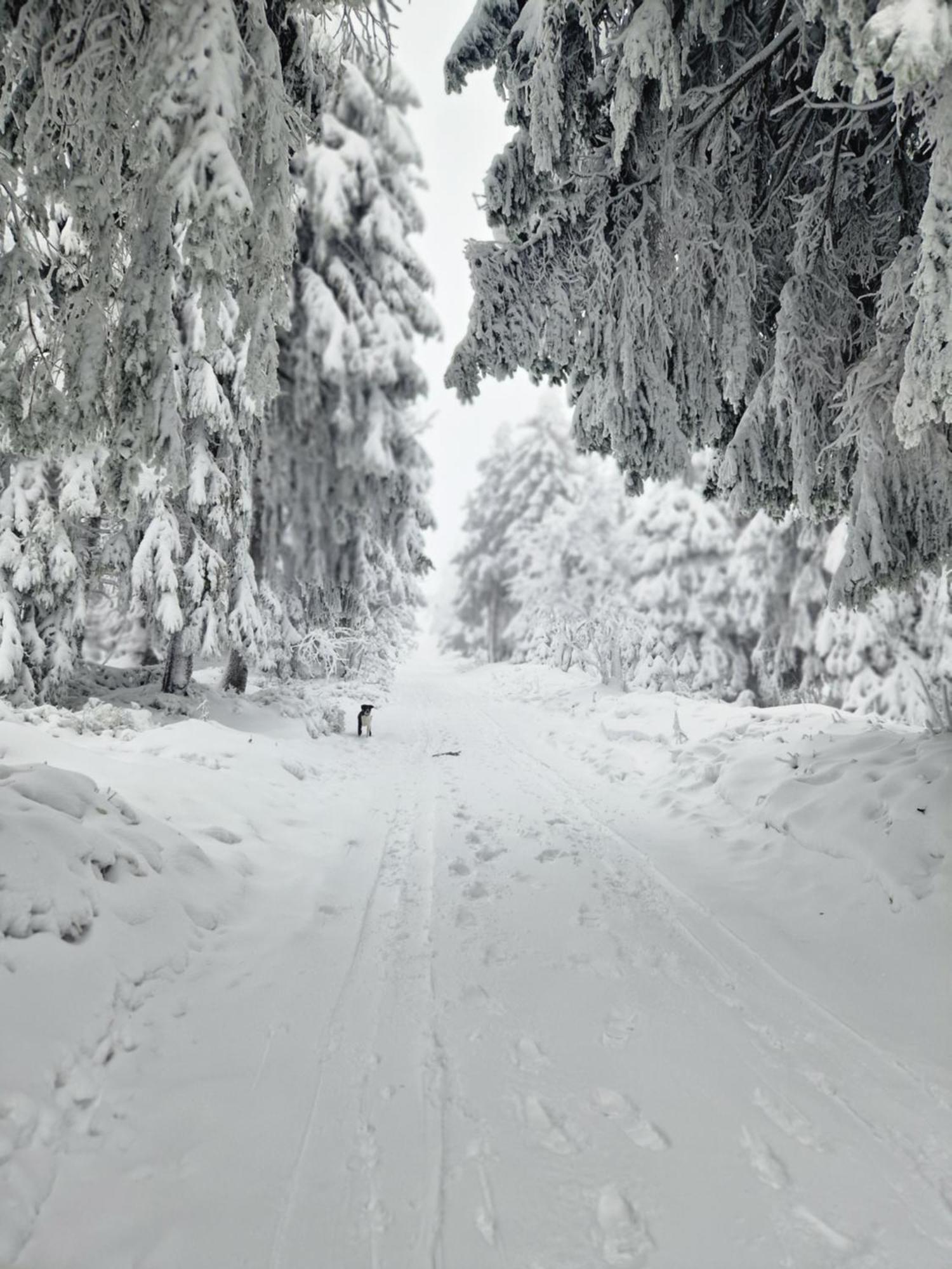 Chata Jeleni Drevenice S Vlastni Virivkou Horni Halze Esterno foto