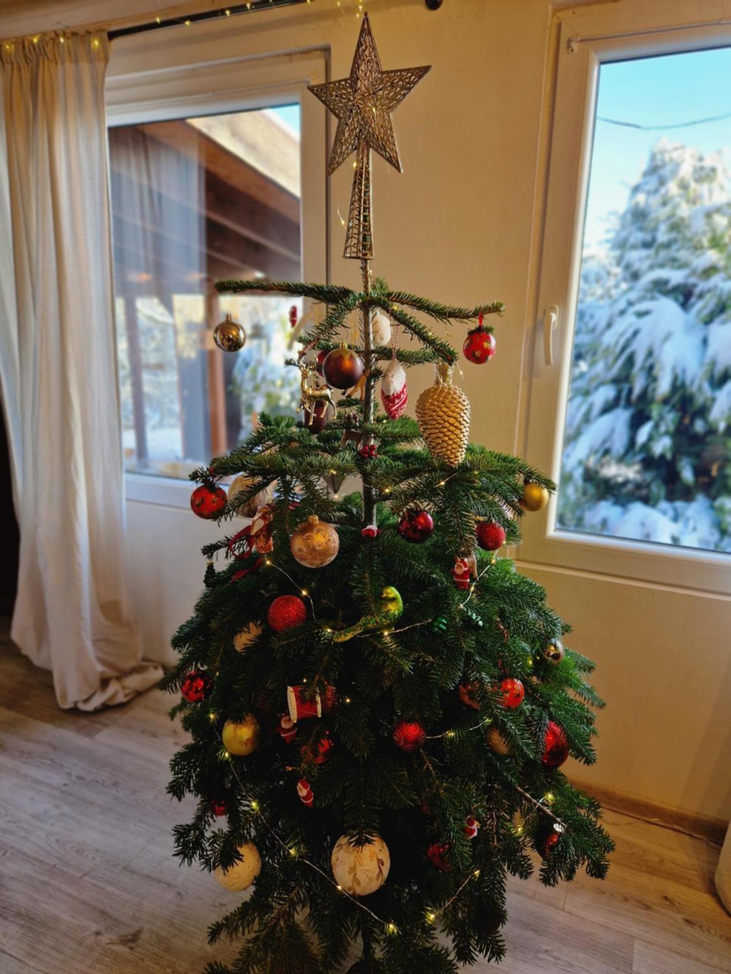 Chata Jeleni Drevenice S Vlastni Virivkou Horni Halze Esterno foto